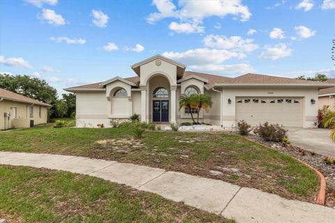 Photo of 3138 Deergrass Court, Holiday, FL 34691 (MLS # TB8392625)