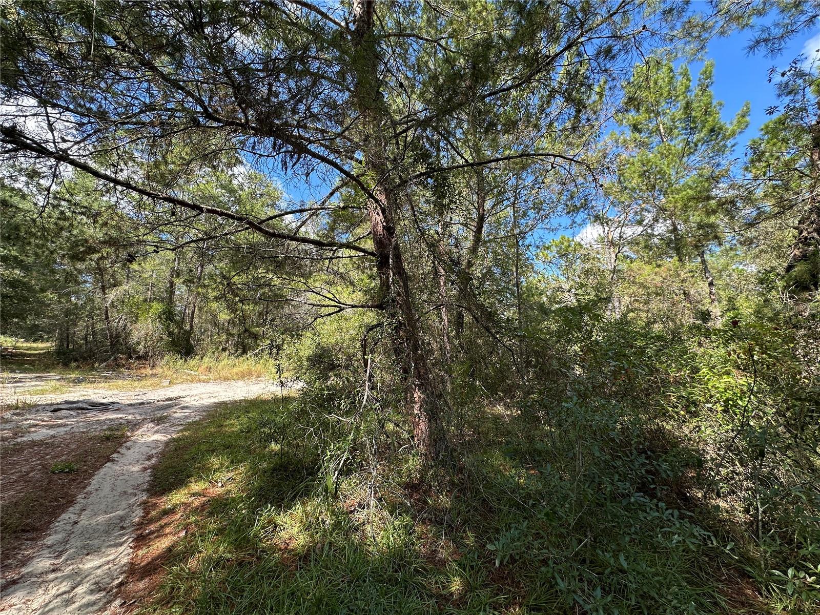 B & R UNIT 6 SUB - Land