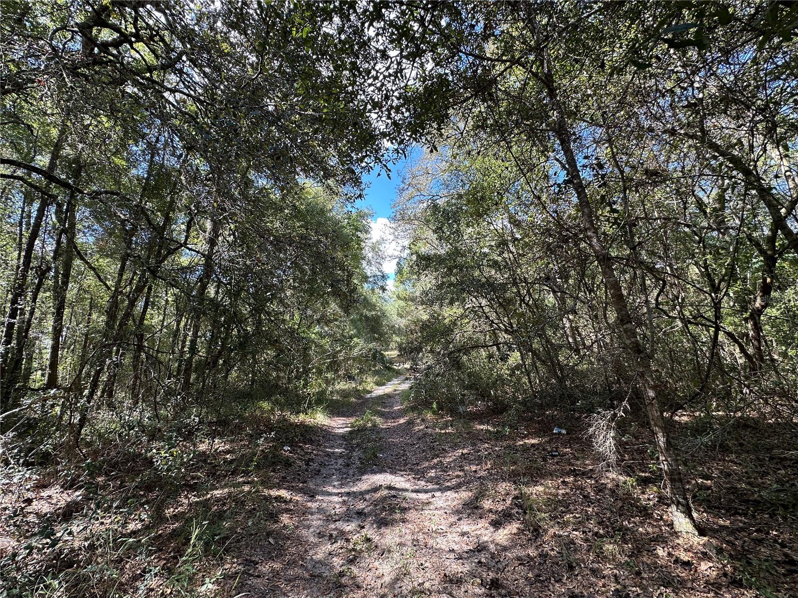 B & R UNIT 6 SUB - Land