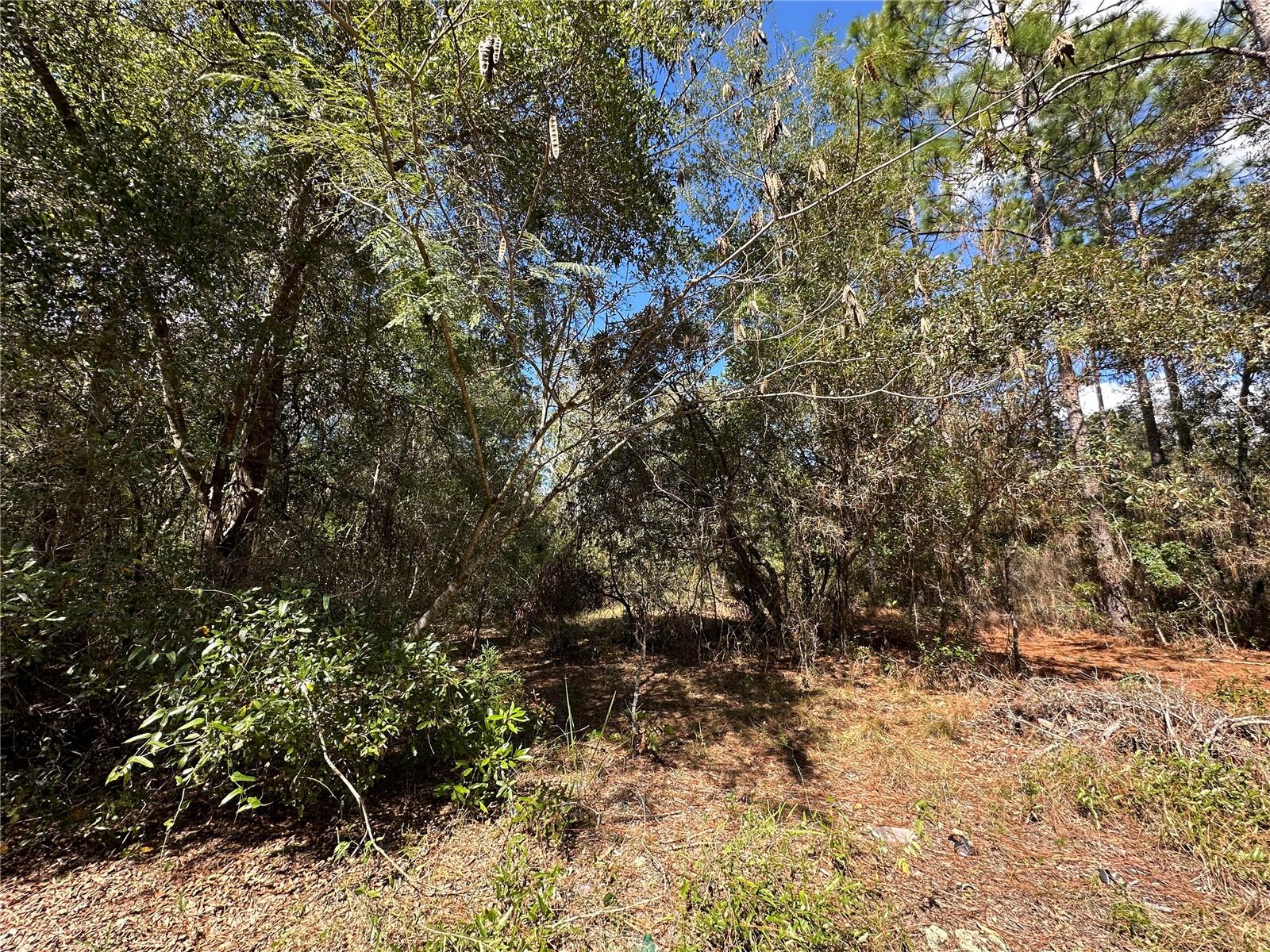 B & R UNIT 6 SUB - Land