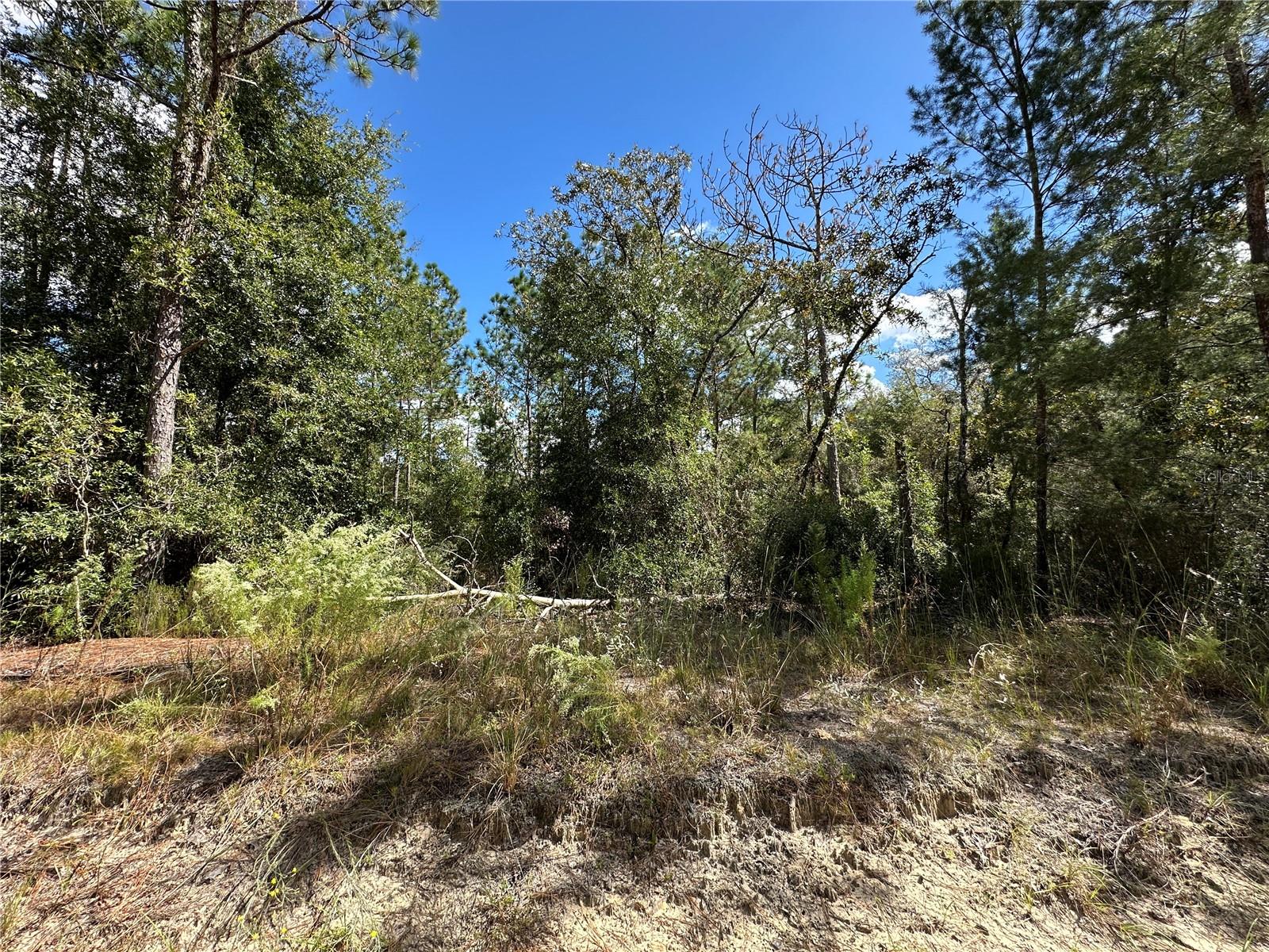 B & R UNIT 6 SUB - Land