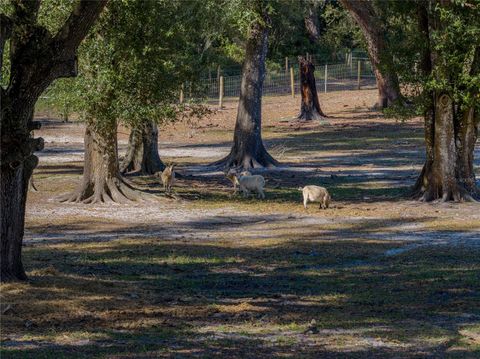 Tiny photo for 9550 Cr 614a, Bushnell, FL 33513 (MLS # TB8449315)