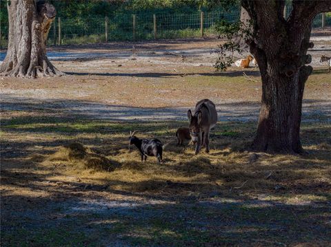 Tiny photo for 9550 Cr 614a, Bushnell, FL 33513 (MLS # TB8449315)