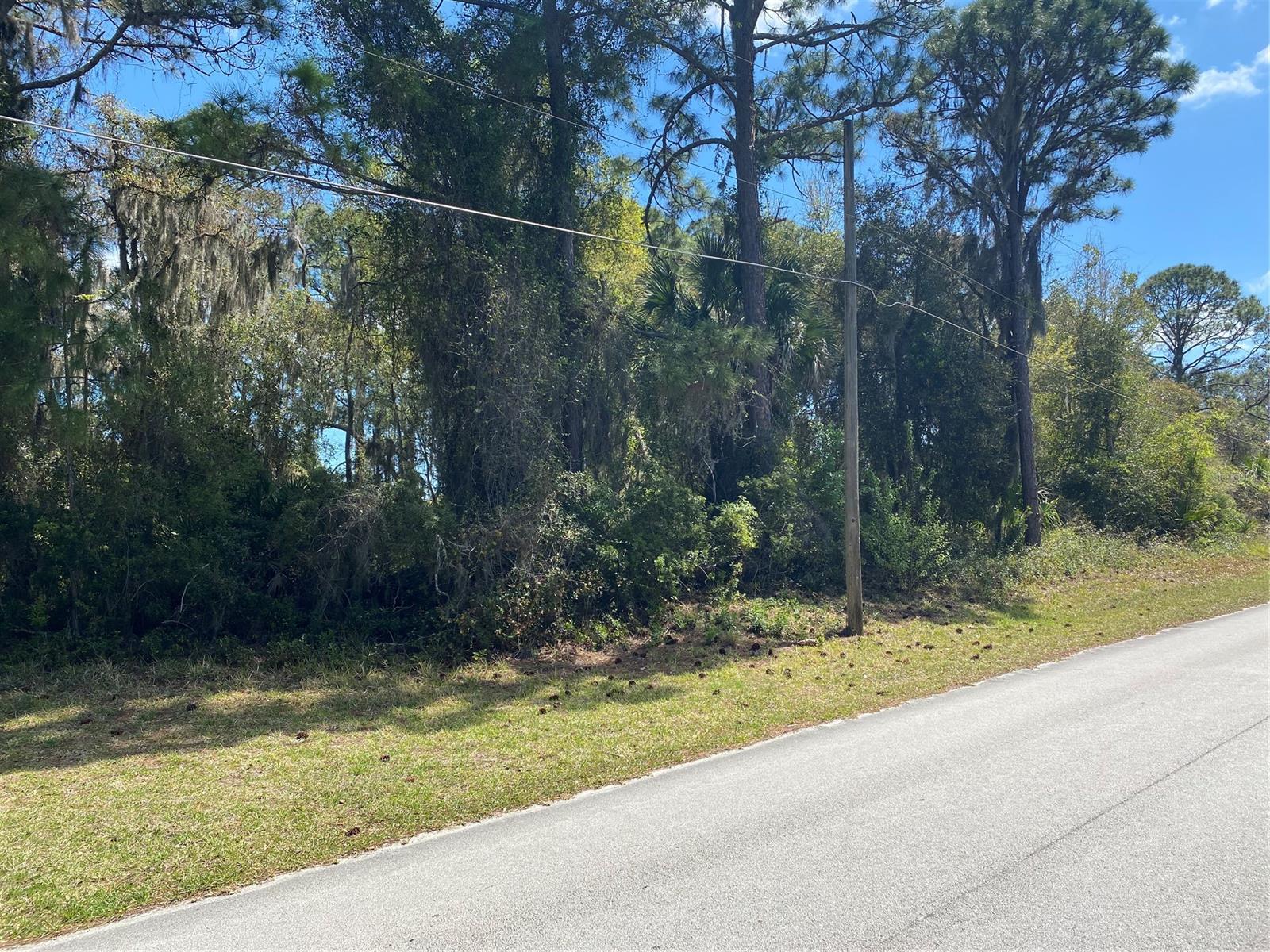 Florida Shores 01 - Land