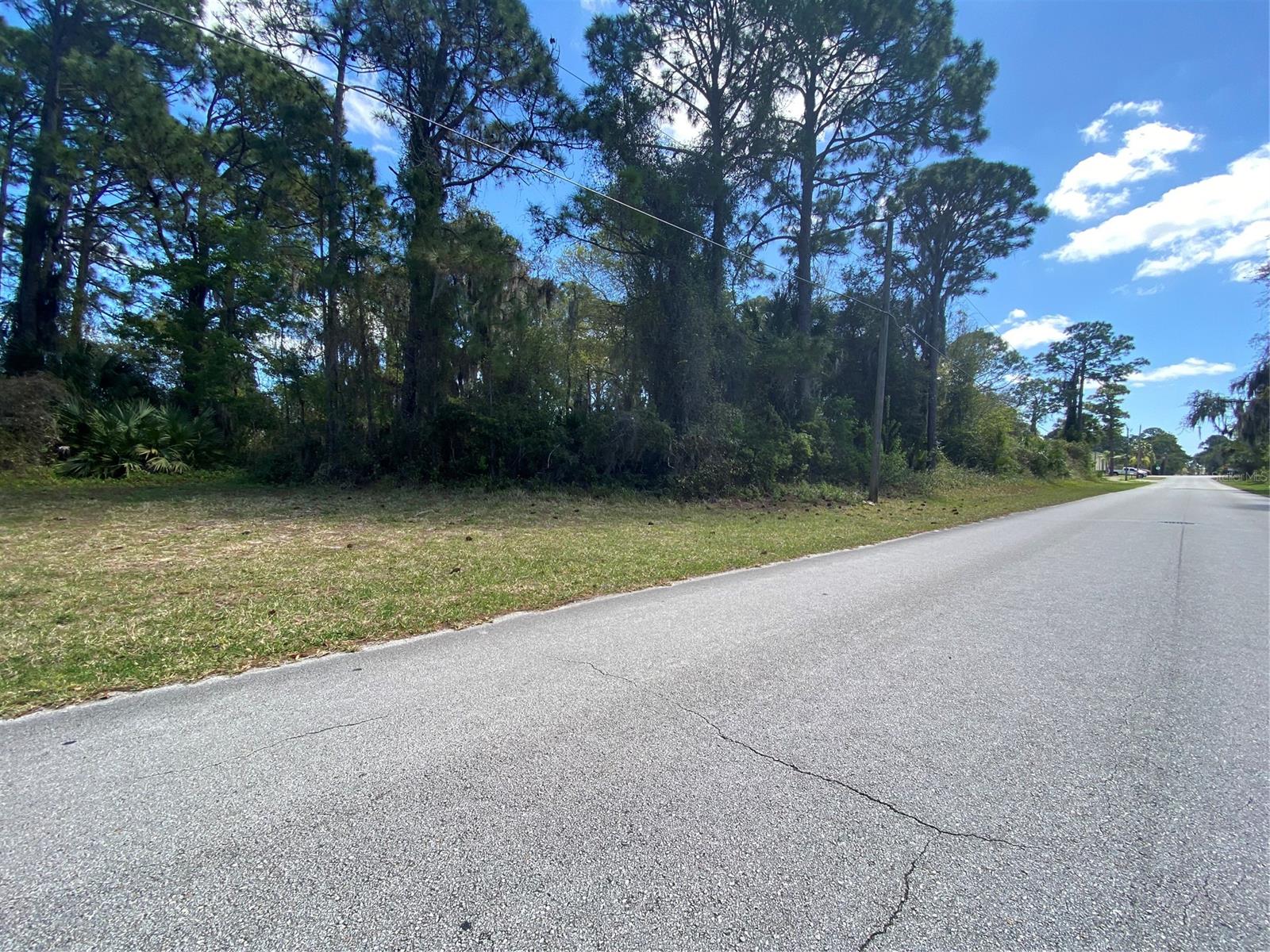 Florida Shores 01 - Land