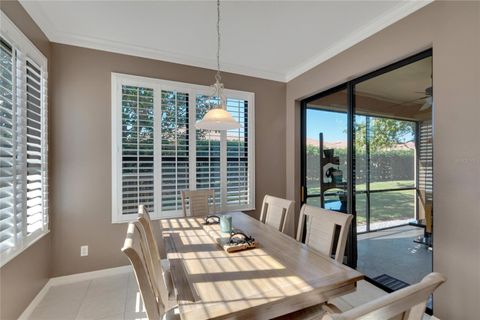 A home in APOLLO BEACH