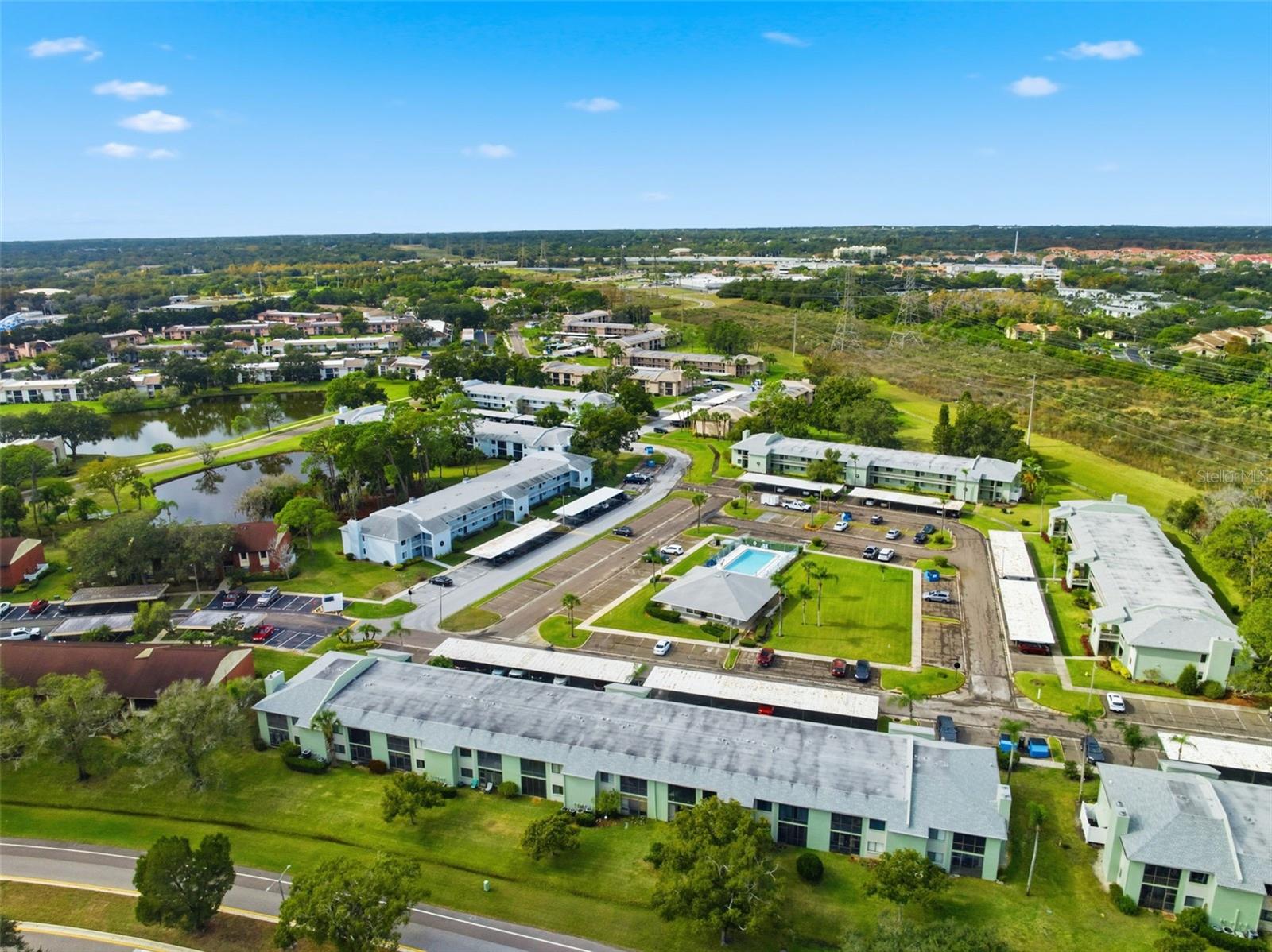 EAST LAKE WOODLANDS CONDO - Residential