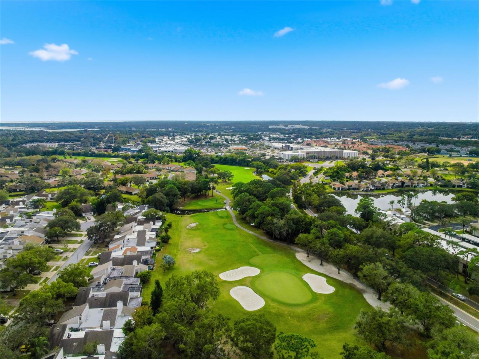 EAST LAKE WOODLANDS CONDO - Residential