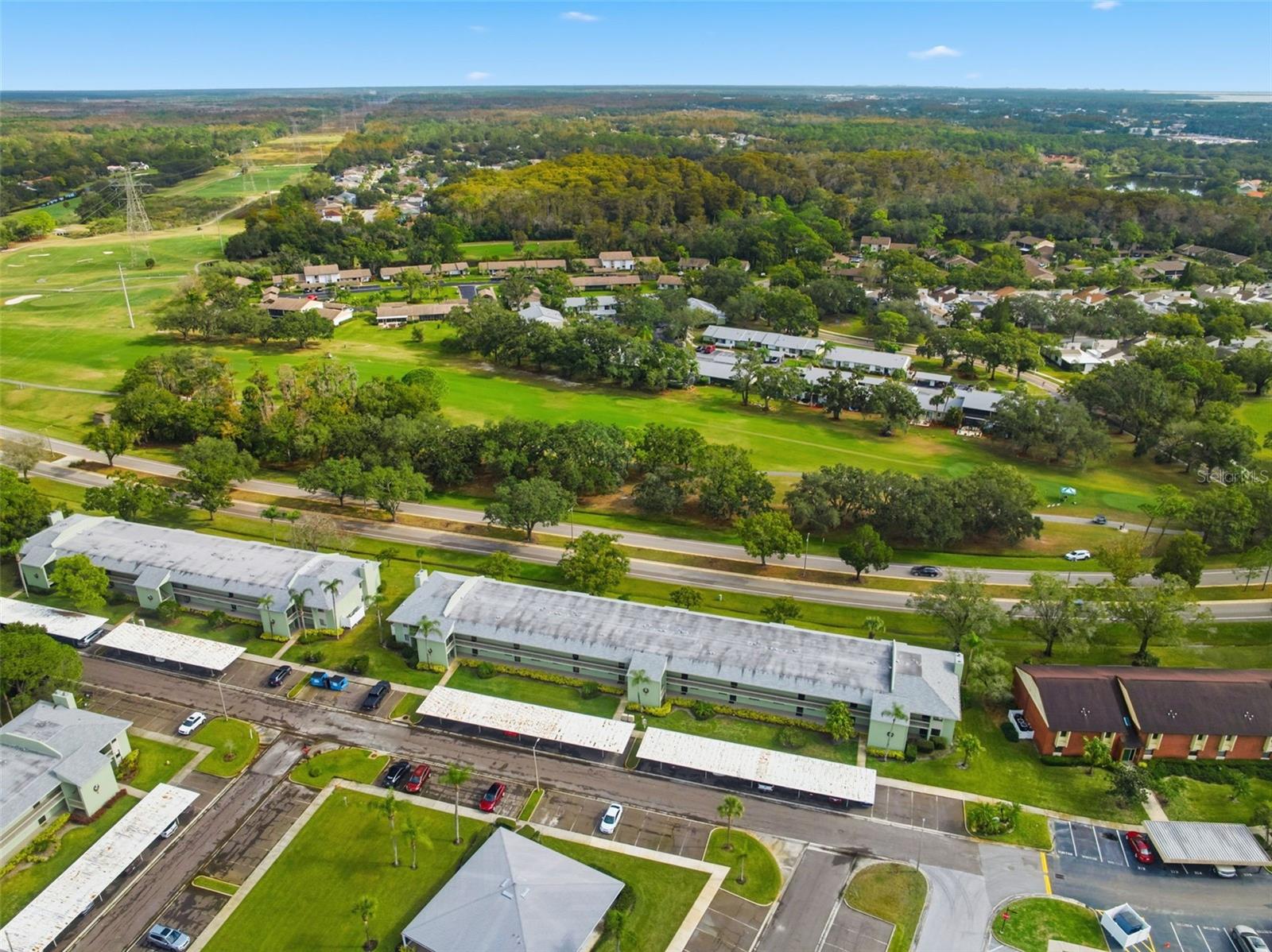 EAST LAKE WOODLANDS CONDO - Residential