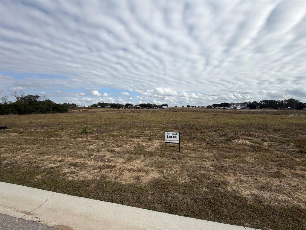 Photo of 10023 White Egret Drive, Thonotosassa, FL 33592 (MLS # O6370764)