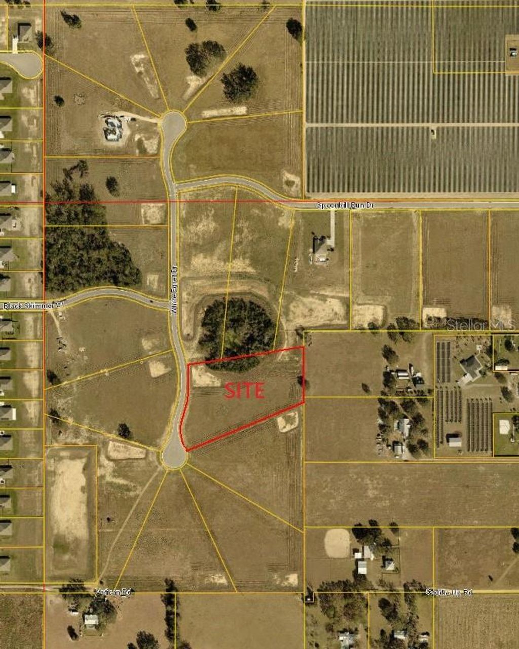 Photo of 10023 White Egret Drive, Thonotosassa, FL 33592 (MLS # O6370764)