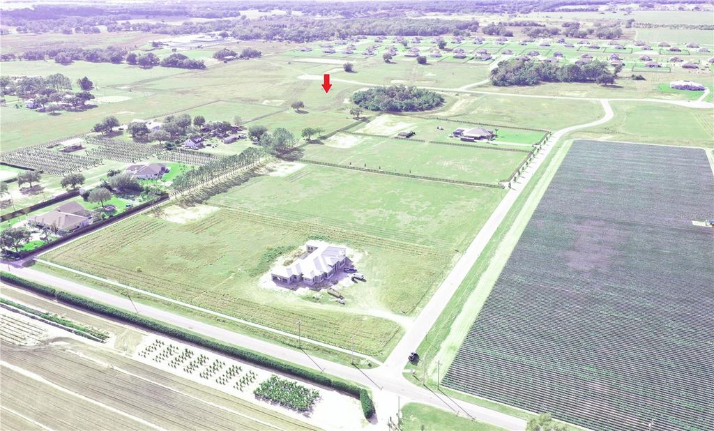 Photo of 10023 White Egret Drive, Thonotosassa, FL 33592 (MLS # O6370764)