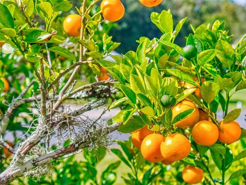 Tiny photo for 2533 E Chivalry Court, Hernando, FL 34442 (MLS # G5104262)