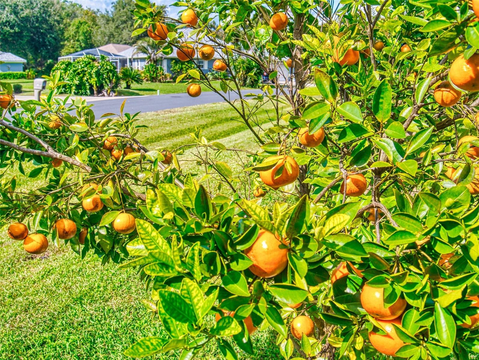 CANTERBURY LAKE ESTATES SECOND ADD - Residential