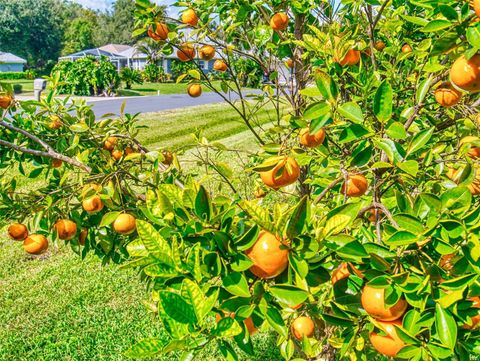 Tiny photo for 2533 E Chivalry Court, Hernando, FL 34442 (MLS # G5104262)