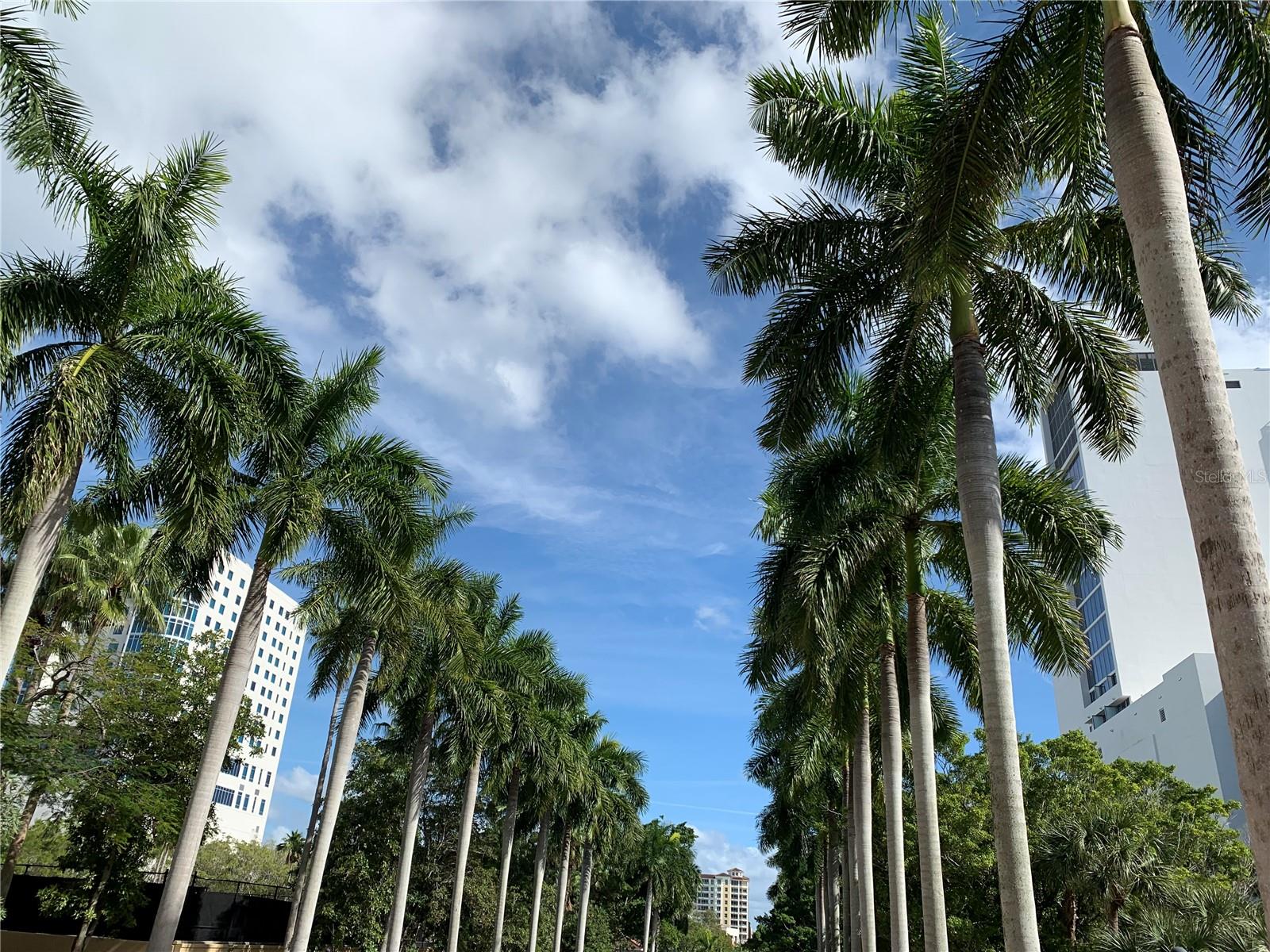 VILLAGEWALK - Residential