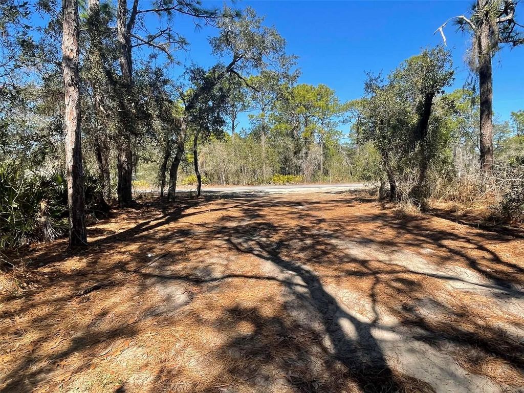 Photo of 11242 Mirage Avenue, Weeki Wachee, FL 34614 (MLS # W7882903)