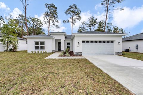 13177 SW 67TH AVENUE OCALA FL 34473