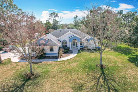 A home in SPRING HILL