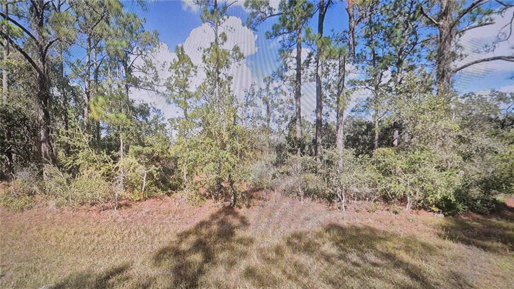 Photo of Plumosa Drive, Indian Lake Estates, FL 33855 (MLS # O6413319)