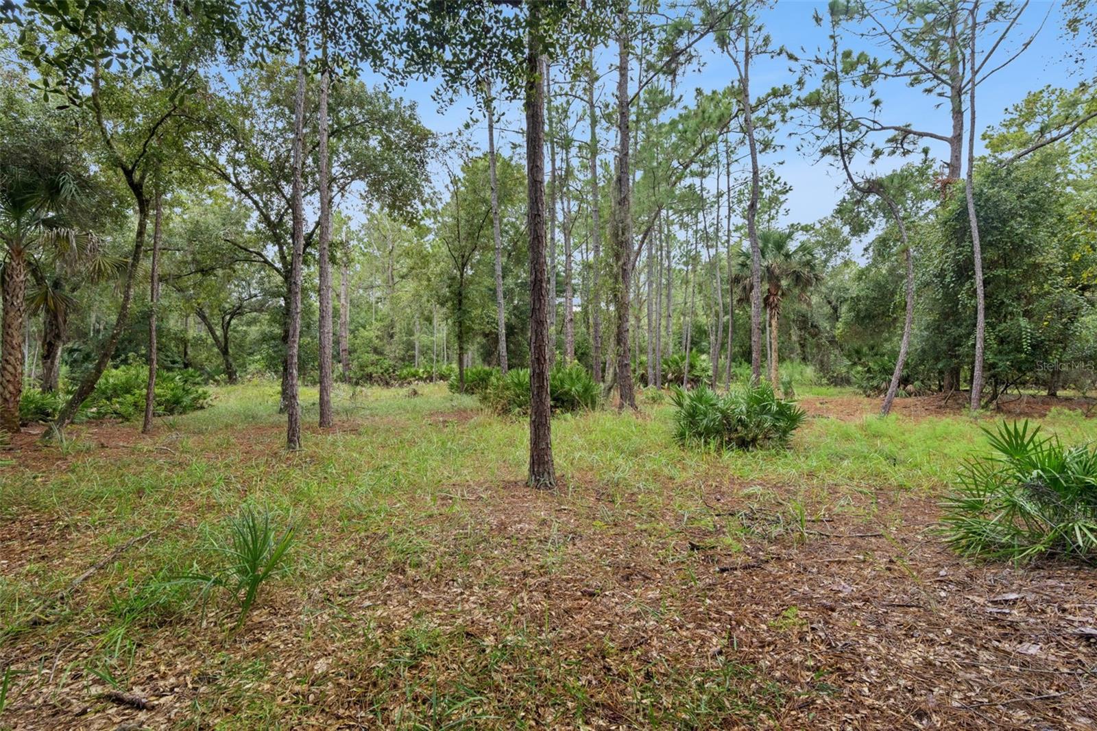 14133 LUND DRIVE