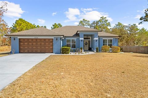 Photo of 12034 Mandlin Road, Weeki Wachee, FL 34614 (MLS # TB8482264)