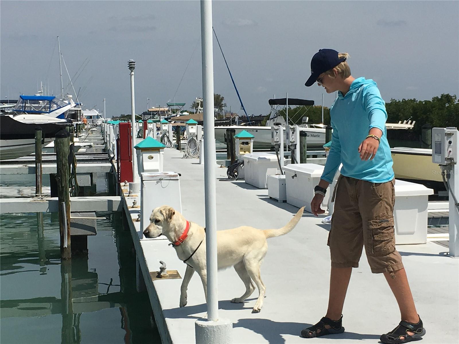 GULF SHORES NORTH 04 - Residential