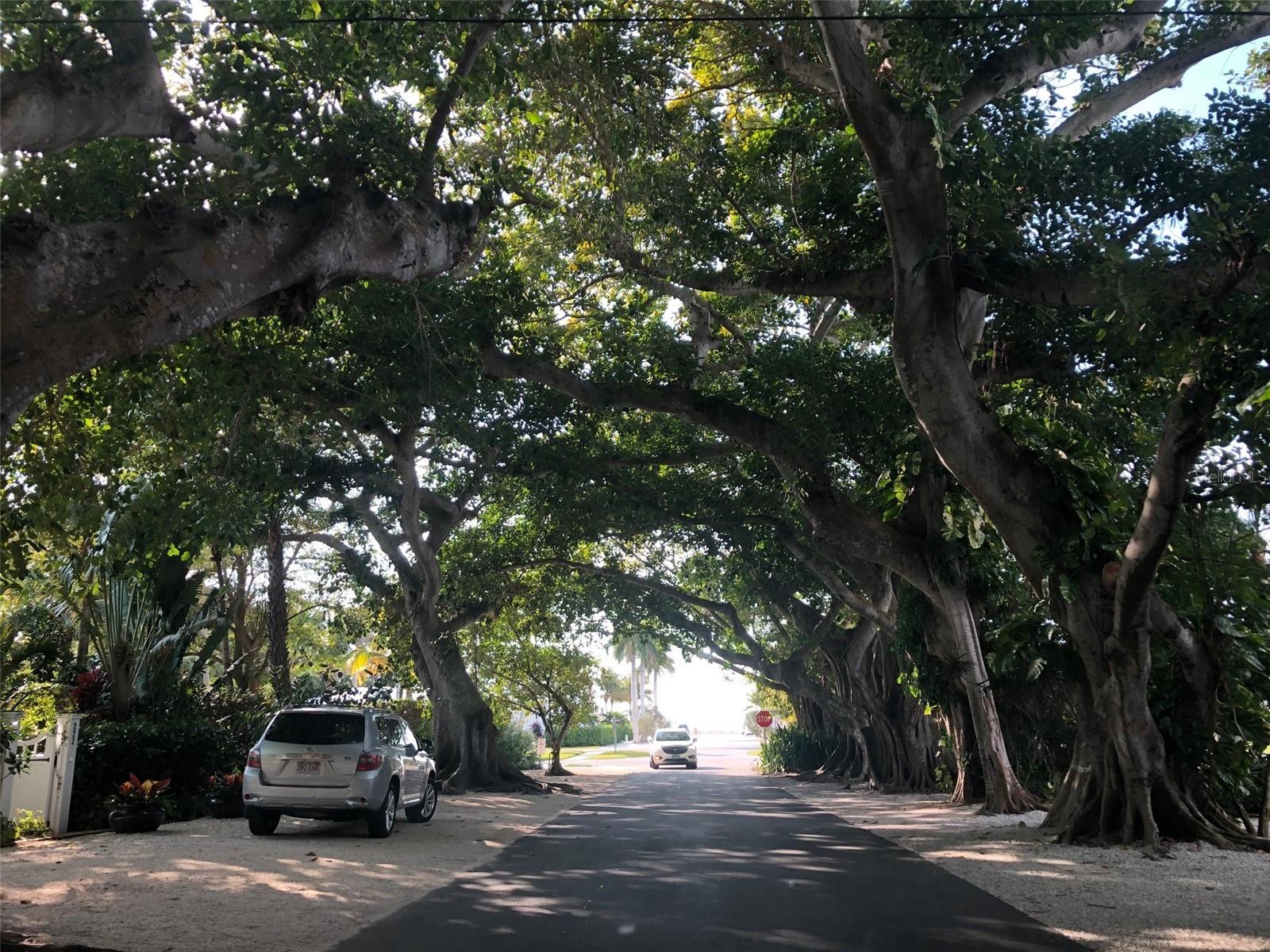 GULF SHORES NORTH 04 - Residential