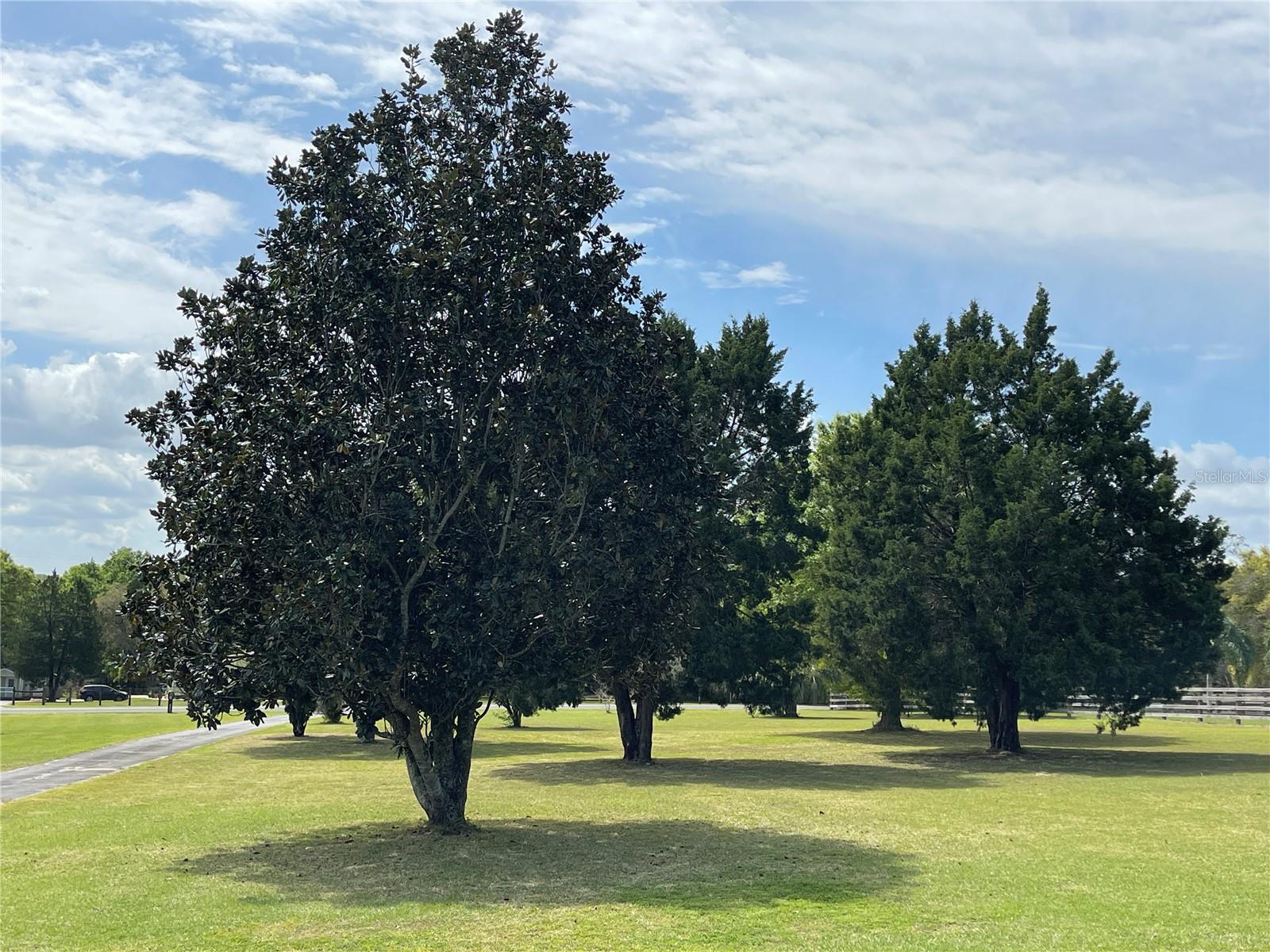 KING GROVE - Residential