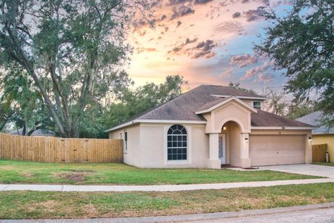 A home in VALRICO