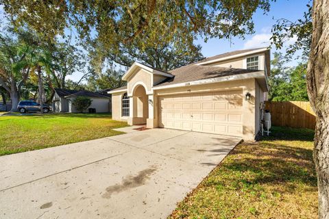 A home in VALRICO