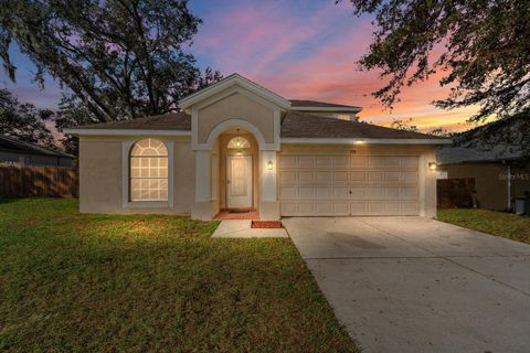 A home in VALRICO