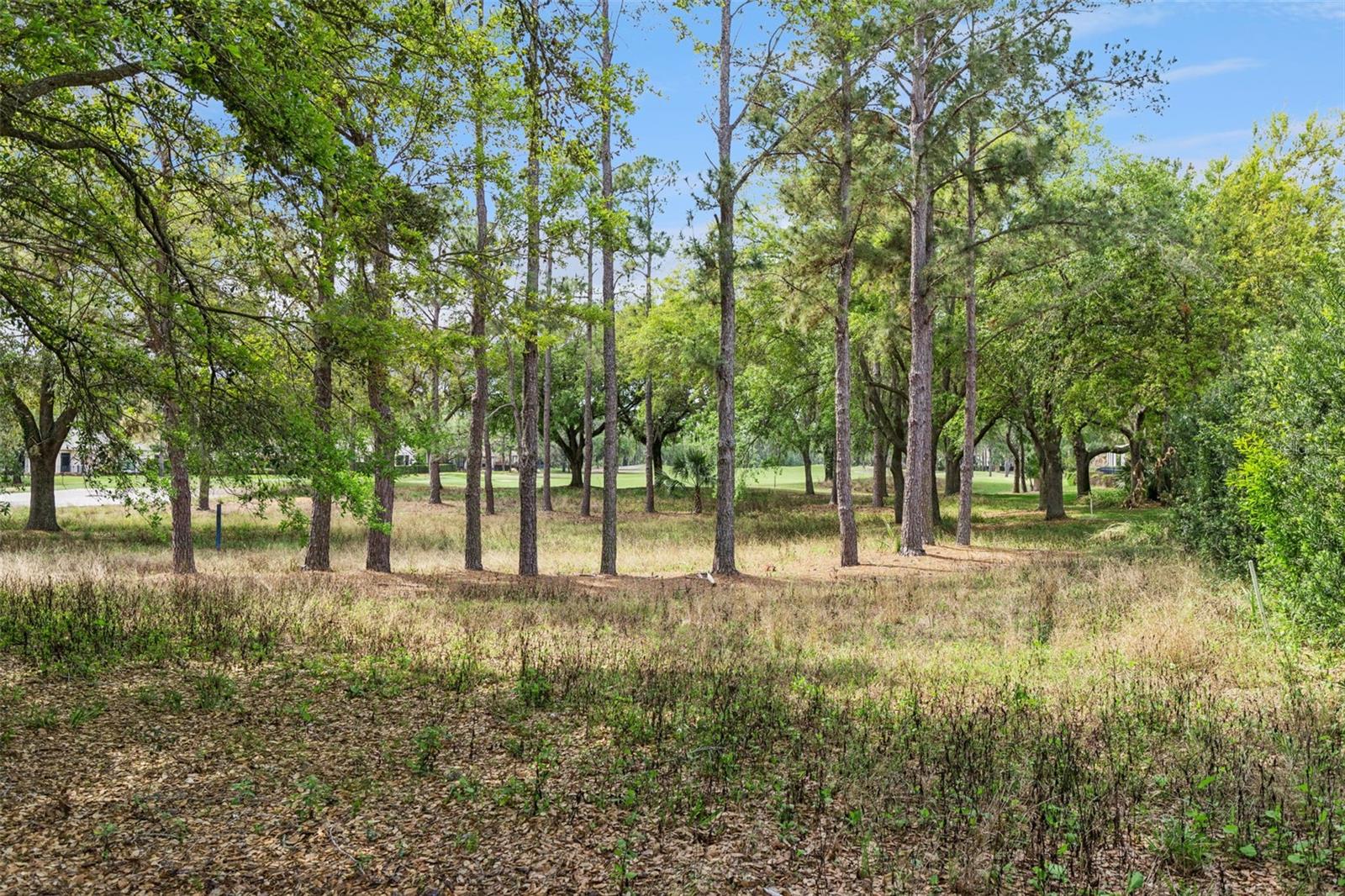 KEENES POINTE - Residential