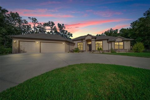 A home in HERNANDO