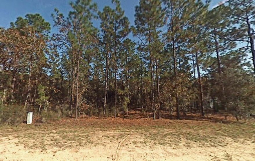 Build your dream home on this spacious vacant lot located in the peaceful Lake Tropicana Ranchettes / Westwood Acres North area of Dunnellon, Marion County. This residential parcel offers a quiet country setting with plenty of privacy while still being conveniently located near Dunnellon, Ocala, and Crystal River. Enjoy the natural surroundings, room for your home, garage, workshop, garden, or animals, and the freedom of a rural lifestyle with no HOA. Ideal for you dream home.  High and dry area with nearby paved roads and easy access to shopping, dining, medical facilities, and the Rainbow River for boating, kayaking, and outdoor recreation. A great opportunity to invest in land in a growing area of Marion County! for directional purposes map 2454 sw 166th ct rd it is the neighboring lot.  Buyer to verify all property details including zoning, utilities, land use, and building requirements. All information deemed reliable but not guaranteed.