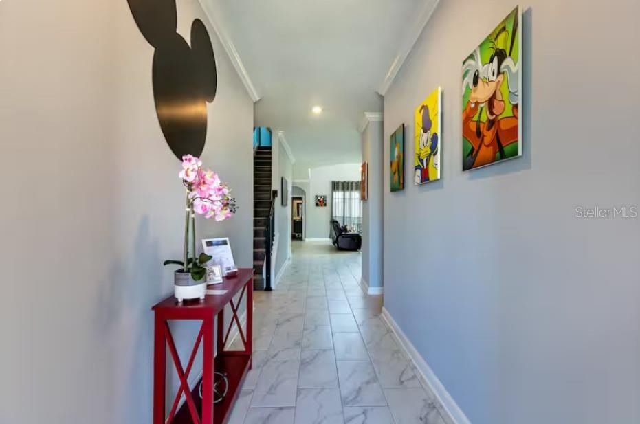 COVE AT STOREY LAKE 4 - Residential