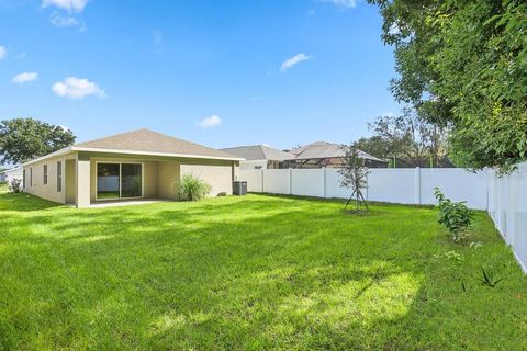 A home in RIVERVIEW