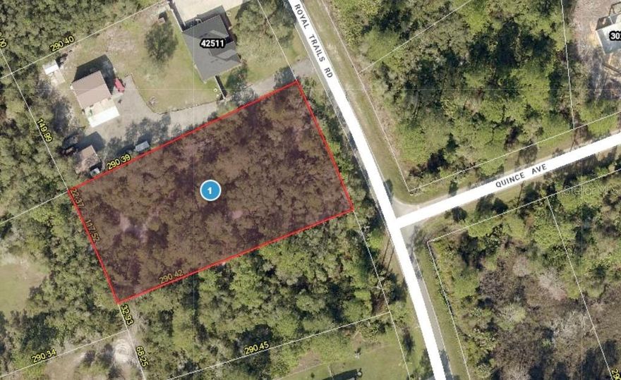 1 acre lot. Royal Trails Community is nestled into the Seminole State Forest. Come live in the country with deer and turkeys but with fast internet and only 16 minutes to Publix and 17 minutes to Wekiva Parkway/SR429. Zoned for horses. HOA only $92/year and minimal rules. Friendly neighbors and Community Clubhouse/playground. Community boat ramp to private 1,200 acre Lake Norris. Florida National Scenic Trail currently uses about half a mile of Royal Trails Rd near subdivision entrance. HOA fees only $80 a year. Paved, County maintained roads. No manufactured homes allowed. 15 minutes to public boat ramp onto St Johns River at Ed Stone Park.