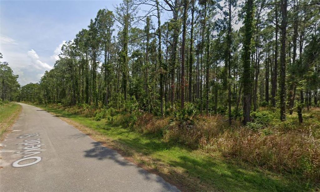 Photo of 8931 Oviedo Street, Sebring, FL 33872 (MLS # G5107832)