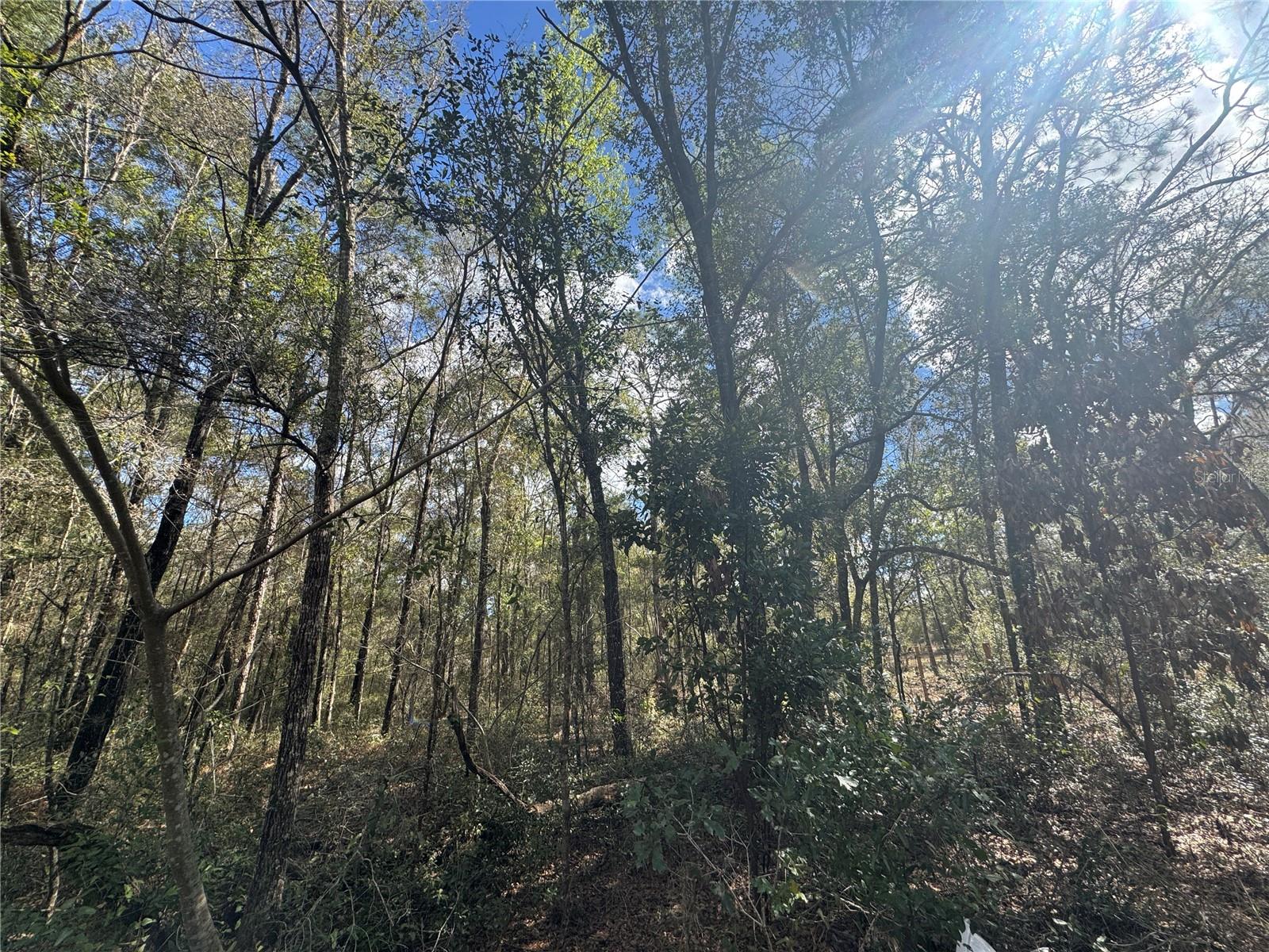 WILLISTON HIGHLANDS GOLF & C CLUB ESTATES - Land