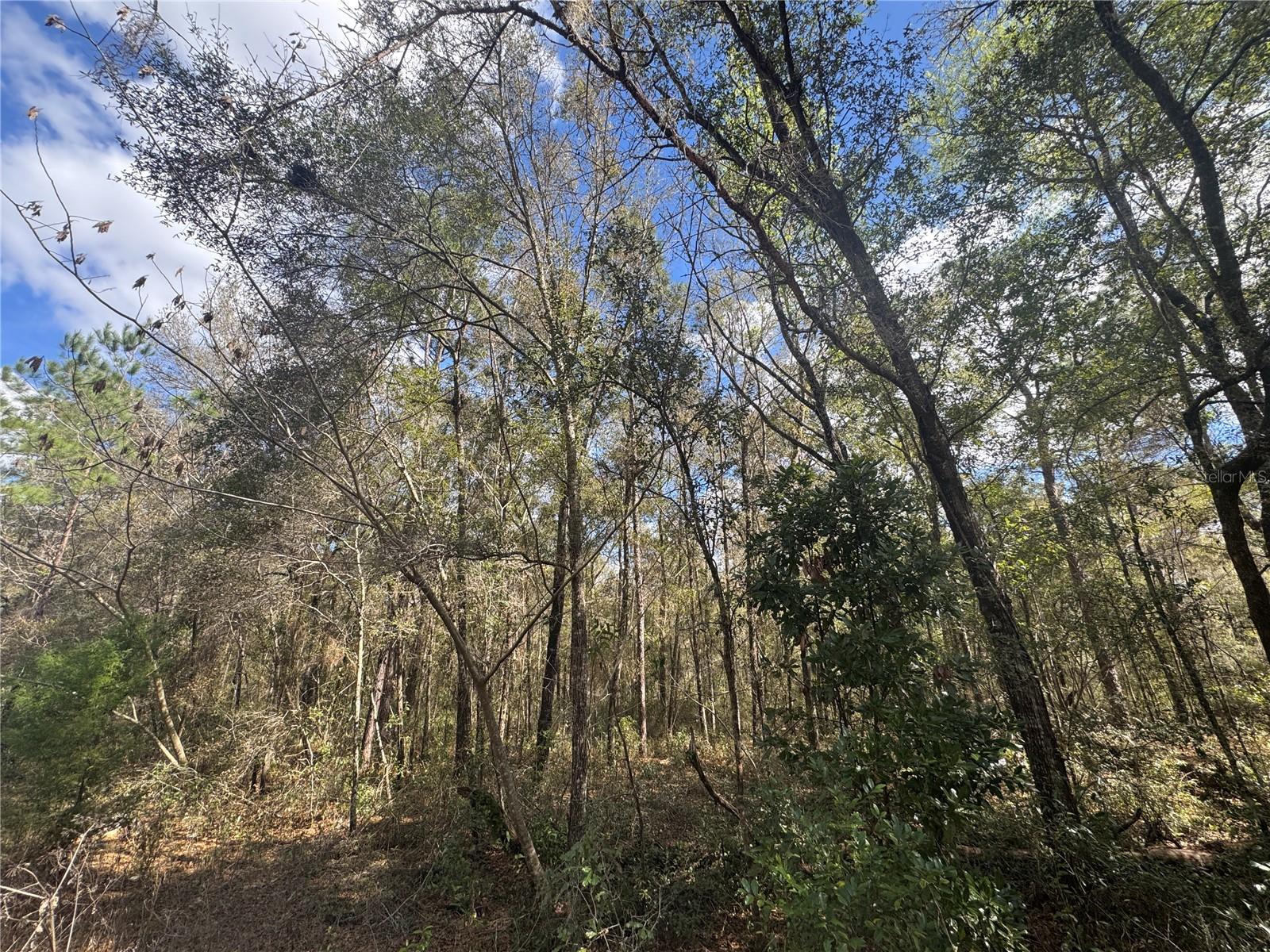 WILLISTON HIGHLANDS GOLF & C CLUB ESTATES - Land