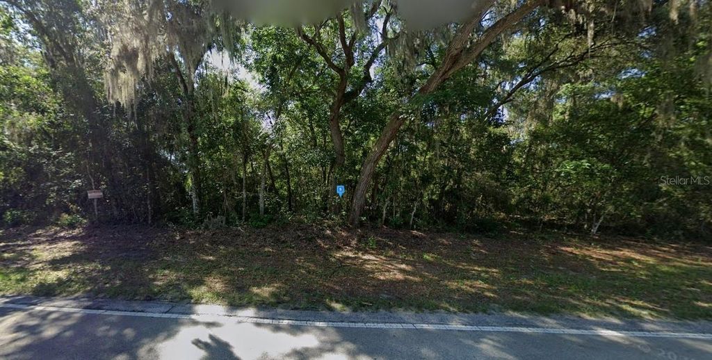 Photo of 8687 E Gospel Island Road, Inverness, FL 34450 (MLS # A4678580)