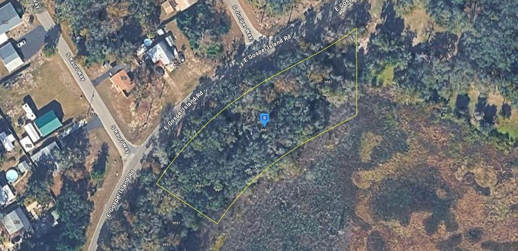 Photo of 8687 E Gospel Island Road, Inverness, FL 34450 (MLS # A4678580)