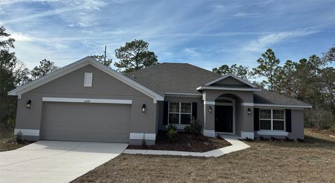 Photo of 10429 Grass Finch Road, Brooksville, FL 34613 (MLS # OM706960)
