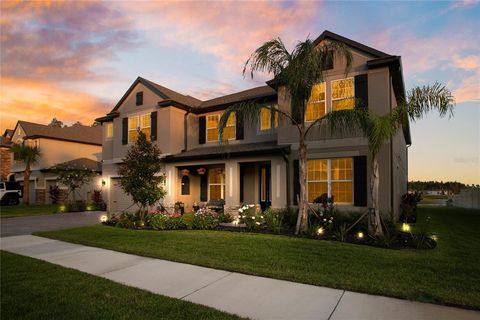 19335 EAGLE CREEK LANE TAMPA FL 33647