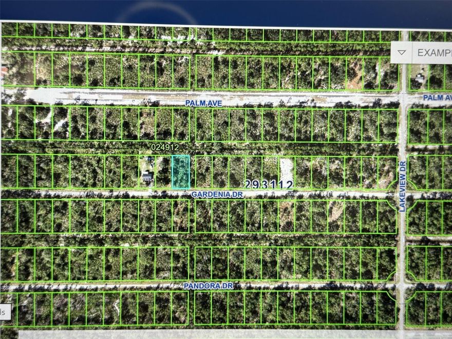 BUILD YOUR DREAM HOME HERE!!  Half acre lot, wooded and secluded.  Peaceful setting where the wildlife likes to roam.  Beautiful area in Gated community. If you enjoy peaceful living, watching wildlife, with access to a huge freshwater lake, THIS is your place.  Vacation home, or retirement home, you can enjoy your best life right here. There is a 23,000 sf clubhouse, basketball court, churches, restaurants, post office, fishing dock, boat ramp, golf course, and more! Watch the gorgeous sunset over the lake from this extremely long pier. See Eagles fishing or just resting on the pier. Play golf, or basketball, or just relax. The options are here and the choices are yours. One hour to the east coast beaches. One and half hours to the Disney theme parks, and the west coast beaches. Rural, but not far from everything.