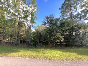 Photo of 405 Pandora Drive, Indian Lake Estates, FL 33855 (MLS # GC543361)