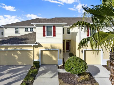 10822 VERAWOOD DRIVE RIVERVIEW FL 33579