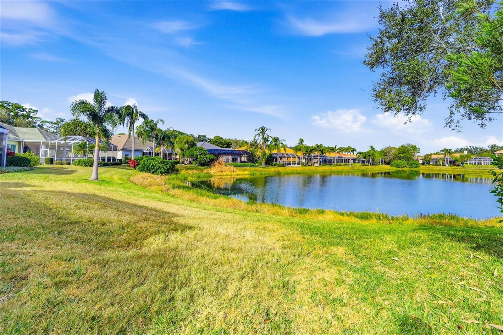 UNIVERSITY PARK - Residential