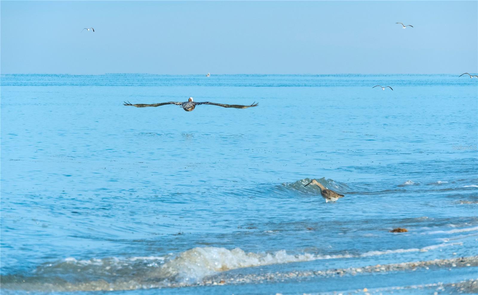 ROTNONDA WEST PINEHURST - Land